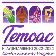 Ayuntamiento del municipio de temoac 2021-2024