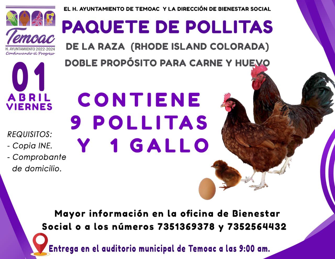 El H. Ayuntamiento de Temoac a través de la Dirección de Bienestar Social, les hacen la invitación para los que estén interesados en adquirir un paquete de pollitas ( contiene 9 pollitas y un gallo).